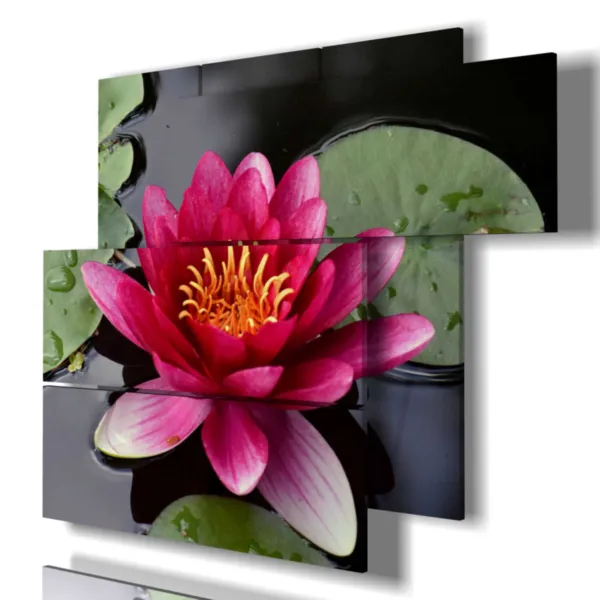 peintures de nénuphars