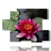 ninfee quadro nello stagno - version: 6 pannelli 129x94cm