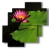 paintings with large leaf flowers photos - version: 4 pannelli 77x78cm