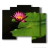 paintings with large leaf flowers photos - version: 5 pannelli 89x77cm