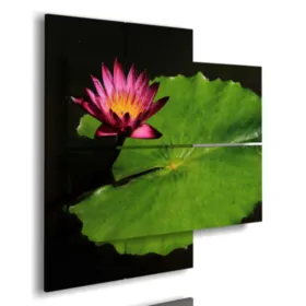 Gemälde mit Fotos von Blumen und großen Blättern