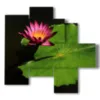 paintings with large leaf flowers photos - version: 5 pannelli 110x105cm