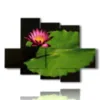 paintings with large leaf flowers photos - version: 6 pannelli 135x96cm