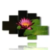 paintings with large leaf flowers photos - version: 6 pannelli 146x94cm