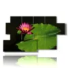 paintings with large leaf flowers photos - version: 7 pannelli 157x90cm