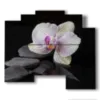 moderne bilder orchideen und steine auf schwarzem hintergrund - version: 5 pannelli 89x77cm