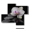 tableaux modernes orchidees et pierres sur fond noir - version: 4 pannelli 94x77cm