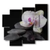 quadri moderni orchidee e sassi su sfondo nero - version: 5 pannelli 106x98cm