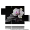 cuadros modernos de orquideas y piedras sobre fondo negro - version: 5 pannelli 128x85cm