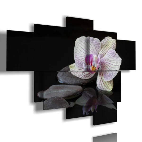 quadri orchidee e sassi su sfondo nero