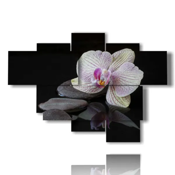quadri moderni orchidee