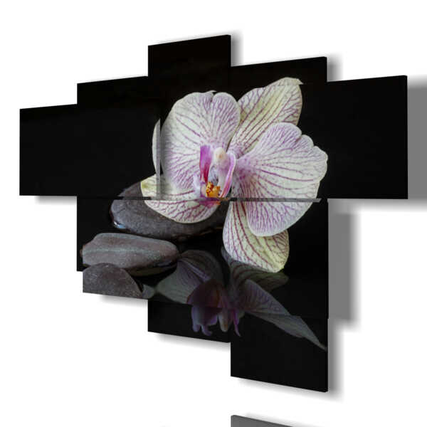 tableaux modernes orchidées et pierres sur fond noir