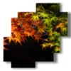 paintings autumn leaves - version: 4 pannelli 77x78cm