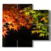 tableaux feuilles d automne - version: 4 pannelli 91x85cm