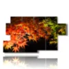 bilder herbstlaub - version: 7 pannelli 157x90cm
