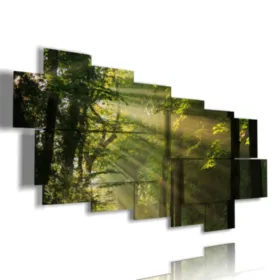 tableaux avec des arbres en forêt