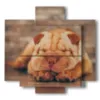 quadro con dipinto di cane mentre dorme - version: 5 pannelli 89x85cm