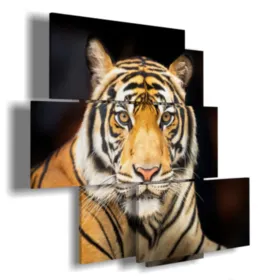 Close-up of a tiger painting