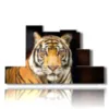 tiger painting in the foreground - version: 7 pannelli 171x101cm