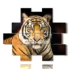 cuadro tigre en primer plano - version: 12 pannelli 172x146cm