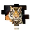quadro tigre in primo piano - version: 12 pannelli 177x146cm