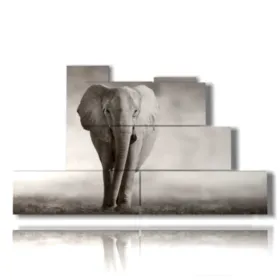 quadro elefante