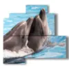 tableaux poissons dauphins jouant - version: 4 pannelli 83x78cm