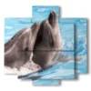 paintings fish dolphins playing - version: 5 pannelli 89x85cm