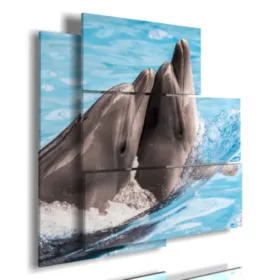 Cuadros, peces, delfines.