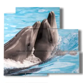 Bild Gemälde Fische