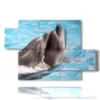 paintings fish dolphins playing - version: 5 pannelli 128x85cm
