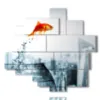 paintings with fish jumping into the void - version: 11 pannelli 158x146cm