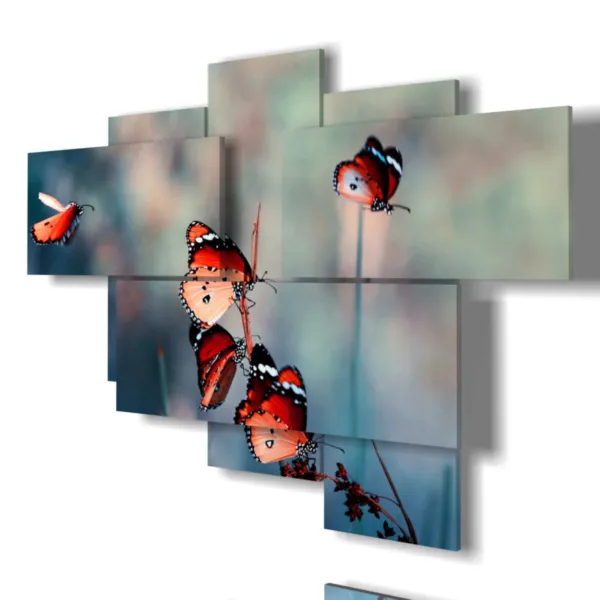 Cuadros con mariposas decorativas