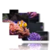 tableaux avec poissons clowns - version: 7 pannelli 150x102cm