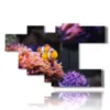 paintings with clown fish - version: 7 pannelli 171x108cm