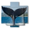 painting with whale tail fish - version: 5 pannelli 89x85cm