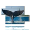 painting with whale tail fish - version: 5 pannelli 128x85cm