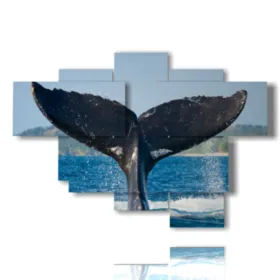 tableau avec un poisson