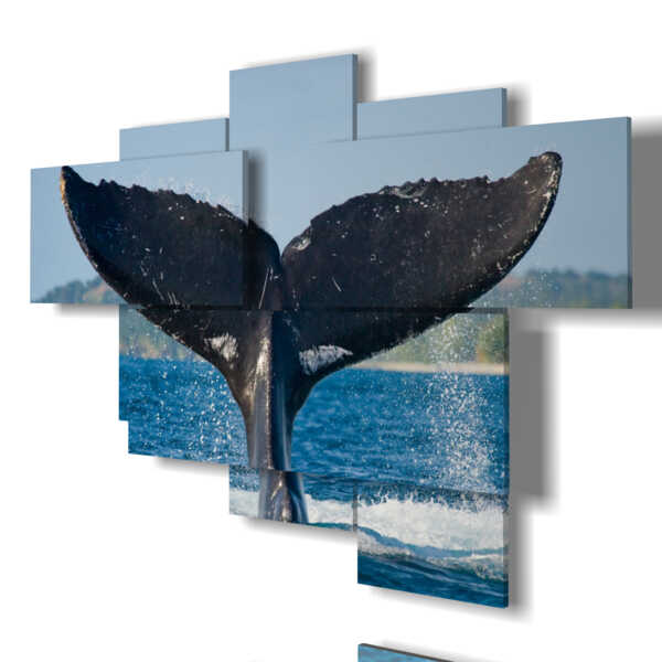 quadro con pesce coda di balena