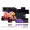 tableaux avec poissons clowns - version: 10 pannelli 186x105cm
