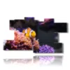 paintings with clown fish - version: 10 pannelli 189x106cm