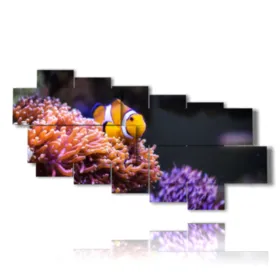 Tableaux avec des poissons