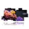 tableaux avec poissons clowns - version: 11 pannelli 214x107cm