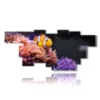 tableaux avec poissons clowns - version: 11 pannelli 232x103cm