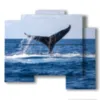 paintings whale fish - version: 5 pannelli 89x77cm