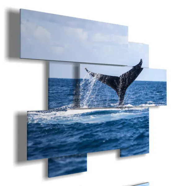 Paintings of whale fish