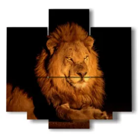 Le tableau lion