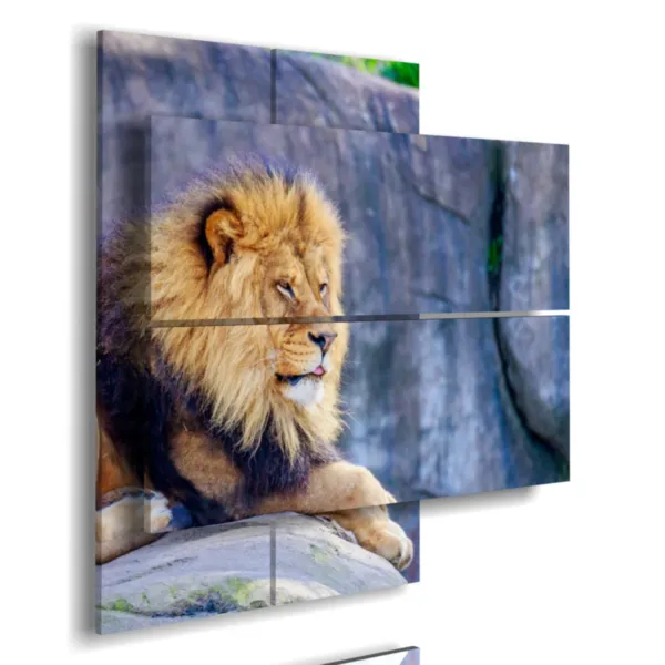 A painting of a lion from the savannah