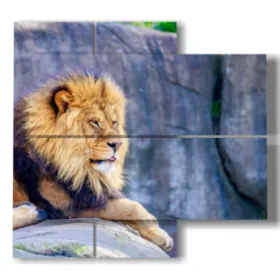 peinture avec lion