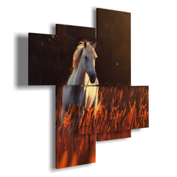 quadro cavalli al tramonto su un campo di grano